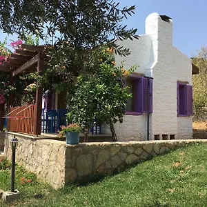 Apart Otel Koy Evi Palamutbükü